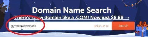 DomainNameSearch 建立網站搜尋網址是否可用
