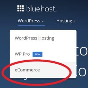 bluehost ecomerce plan for building onlineshop 用藍色主機架設網上商店